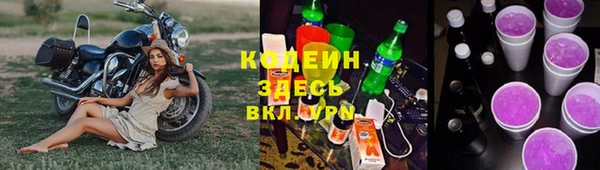 apvp Осинники