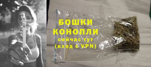 apvp Осинники