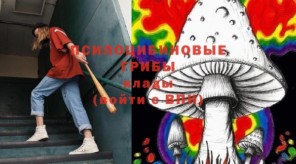 apvp Осинники