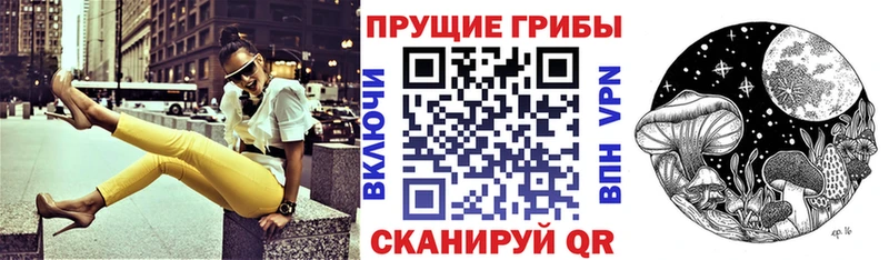 Галлюциногенные грибы мицелий  сколько стоит  Чаплыгин 